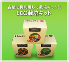 ECO栽培キット